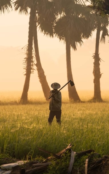 Nghề "Ăn cơm dưới đất, làm việc trên trời"