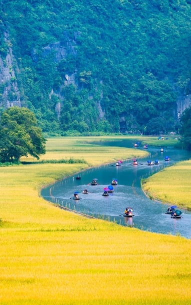 "Sắc vàng Tam Cốc - Tràng An" - Tuần du lịch Ninh Bình 2025