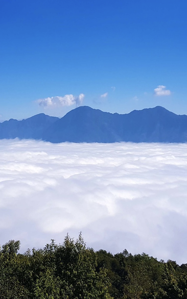 Đỉnh Pú Đao - Thiên đường săn mây ở Lai Châu