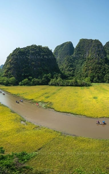 Sắc vàng Tam Cốc