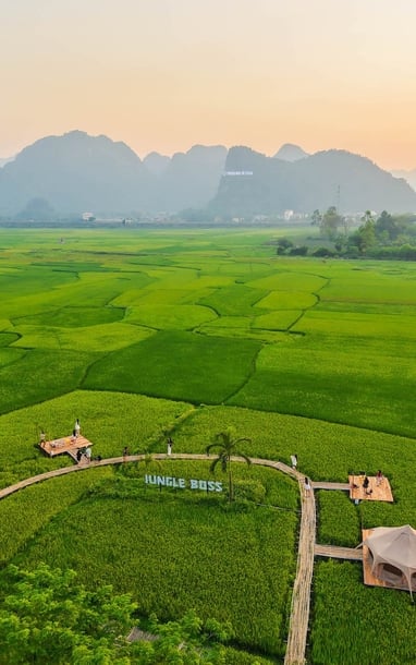 Quảng Bình: Độc đáo trải nghiệm du lịch giữa hương lúa đồng quê