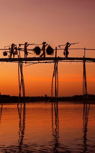Màu của quê hương