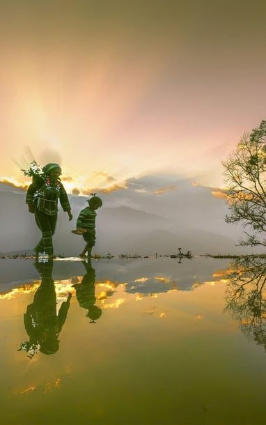 Ruộng bậc thang Y Tý mùa nước đổ lấp loáng đẹp như tranh