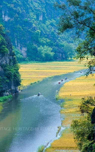Xuôi theo dòng nước