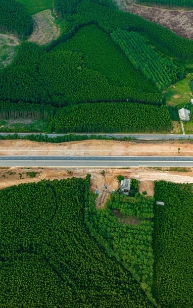 Cận cảnh cao tốc gần 10 nghìn tỷ đồng, đẹp như một bức tranh trước ngày thông xe