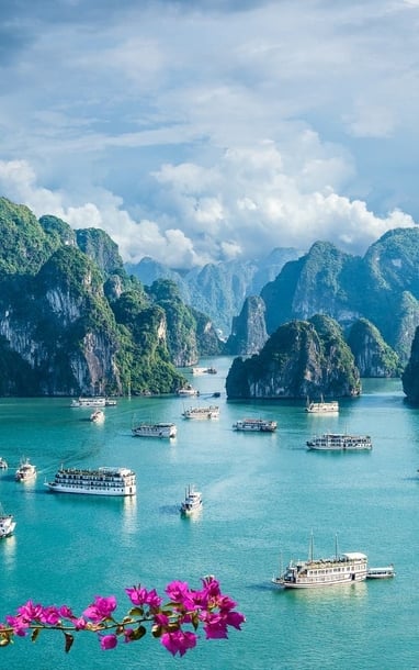 Báo Anh ca ngợi 8 điểm đến tuyệt vời nhất tại Việt Nam