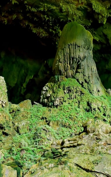  Hang động huyền bí hấp dẫn khách Tây, được ví như 'động Phong Nha' ở Thanh Hóa