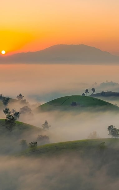 Cảnh huyền ảo trên đồi chè 'bát úp' ở Phú Thọ