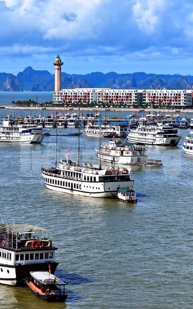 Sau bão, các đoàn tàu Quảng Ninh vươn khơi