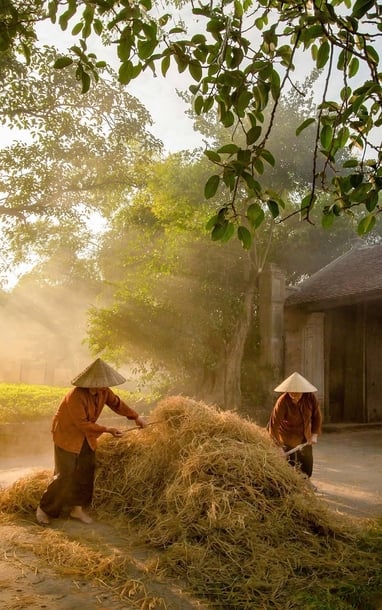 Làng cổ Đường Lâm "Viên ngọc thô" xứ Đoài với tiềm năng đánh thức di sản Thủ đô