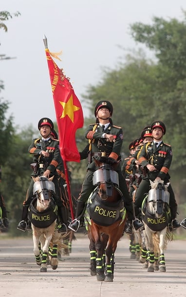 Ngắm dàn kị binh, chiến mã tinh nhuệ diễu hành, biểu diễn trên đường phố Hải Phòng