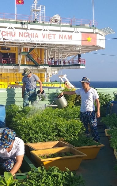 바다 한가운데서 살다