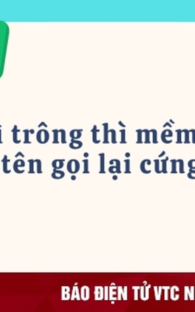 부드러워 보이지만 이름은 단단한 것은?