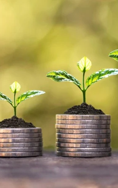 8월 18일~22일 주 배당금 지급 일정
