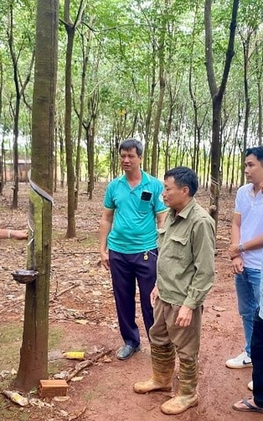 2Phong 비료, Binh Tan 농부들과 함께합니다