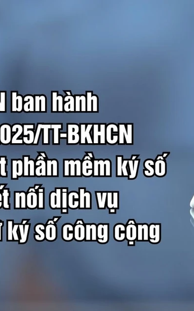 디지털 서명 소프트웨어 및 연결 포트의 기술적 측면을 규정하는 순환