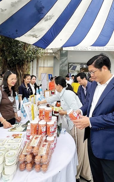 현대적이고 대규모 집단 경제 개발