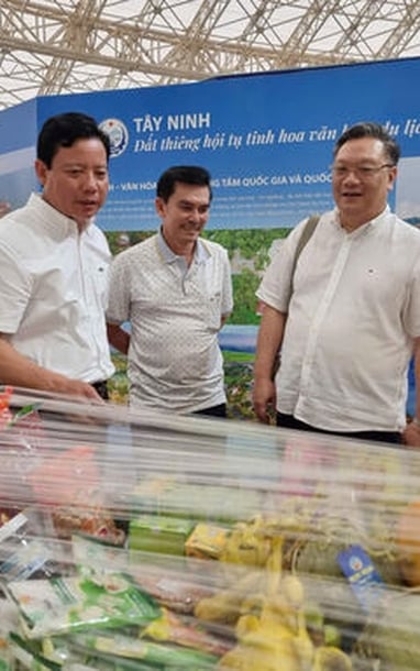 하노이 타이닌 전시장 건설 진행 상황을 시찰하는 파므 탄 호아(Pham Tan Hoa) 성 인민위원회 부위원장