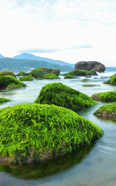 Khám phá làng chài cổ bên bờ biển Đà Nẵng