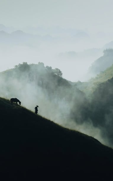 Cảnh đẹp hoang sơ trên đồi cỏ Hạ Lang - Cao Bằng