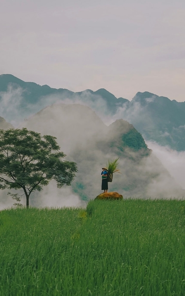 4 tọa độ bình yên hòa mình giữa thiên nhiên ở Thanh Hóa