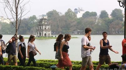 Cảnh báo nguy cơ lừa đảo trực tuyến vào mùa cao điểm du lịch