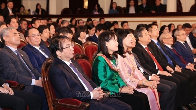 Mê mẩn với hoàng mai ‘độc lạ’, biểu tượng sắc xuân xứ Huế
