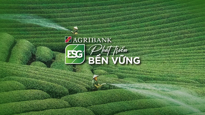 Agribank – Ngân hàng Thương mại hàng đầu Việt Nam