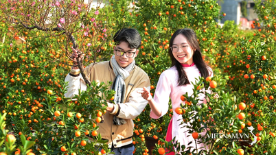 Thể lệ Cuộc thi ảnh và video "Tết Hạnh phúc"