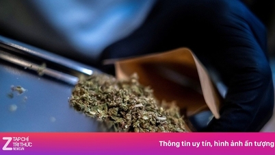 Hết thời 'cần sa tự do' tại Thái Lan