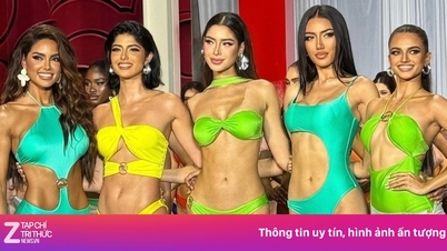 5 cô gái mặc áo tắm đẹp nhất