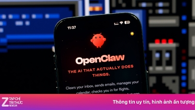 Vỡ mộng OpenClaw