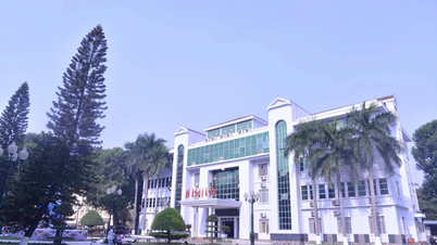 SỨ MỆNH, TẦM NHÌN, GIÁ TRỊ CỐT LÕI