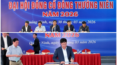 ĐHĐCĐ CTCP VIGLACERA HẠ LONG, GHI NHẬN “XOAY CHUYỂN TÌNH THẾ” & NHỮNG QUYẾT SÁCH ĐÁP ỨNG MỤC TIÊU 2026