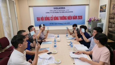 Công ty CP Tư vấn Viglacera: Hoàn thành kế hoạch lợi nhuận trong bối cảnh thị trường nhiều biến động