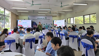 Khóa đào tạo nâng cao năng lực quản lý môi trường trong doanh nghiệp