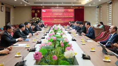 Hà Nội thúc đẩy hợp tác đào tạo cán bộ với Singapore phục vụ các mục tiêu phát triển