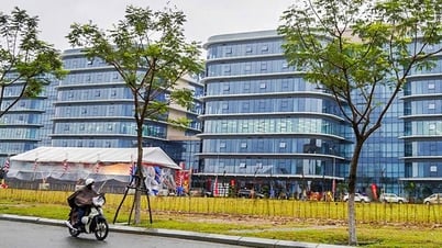 Will a financial center help Da Nang become the 'Singapore, Hong Kong' of Asia?