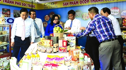 Soc Trang លើសពីផែនការអភិវឌ្ឍន៍ផលិតផល OCOP