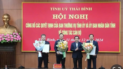 Bổ nhiệm, điều động về công tác cán bộ