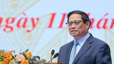 Đội ngũ doanh nhân phát triển không ngừng cả về số lượng và chất lượng