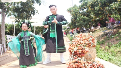 ការបង្ហាញម៉ូតនៅសួនផ្លែល្មុត |=> ចុះផ្សាយក្នុងកាសែត Bac Giang