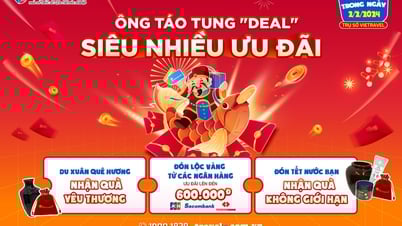„Mr. Tao startet Deals – Super viele Aktionen“ nur für einen Tag bei Vietravel