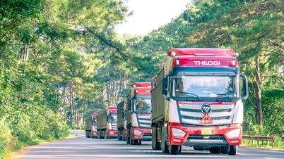 THILOGI upgrades its full-service logistics chain