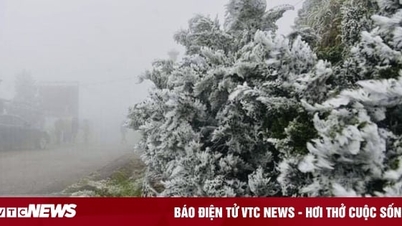 Dự báo thời tiết 10 ngày từ đêm 24/1 đến 3/2 cho Hà Nội và cả nước