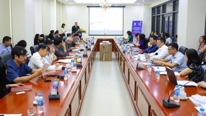 Propuestas y recomendaciones para el desarrollo de las relaciones Vietnam-Brasil en el futuro