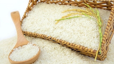Giá lúa gạo hôm nay 5/11/2024: Giá lúa tăng, giảm trái chiều; giá gạo giảm 50