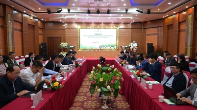 Thúc đẩy tiêu thụ sản phẩm cây ăn quả các tỉnh phía Bắc