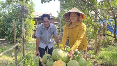 Thực hiện đồng bộ nhiều giải pháp để giảm nghèo bền vững