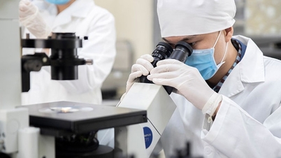 Amending the Law on Science and Technology: Promoting the development of the national innovation system